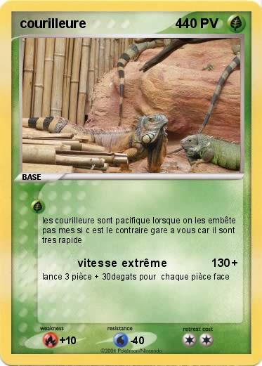 Pokemon courilleure                         4