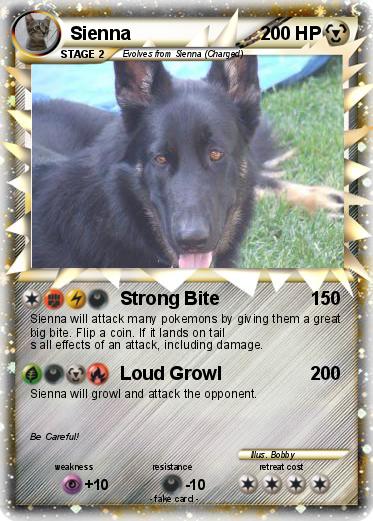 Pokemon Sienna