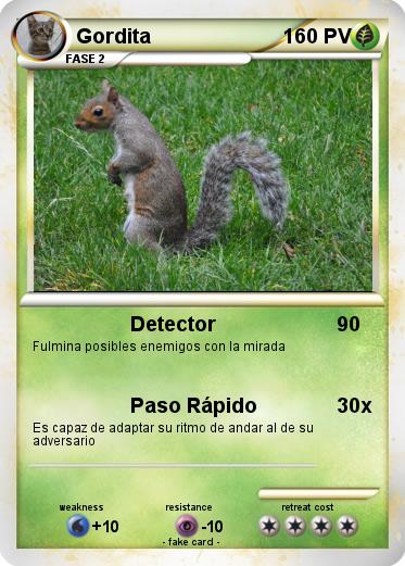 Pokemon Gordita