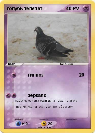 Pokemon голубь телепат