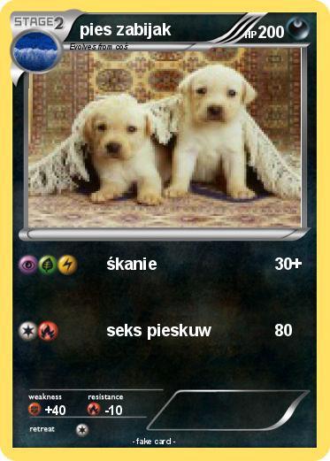 Pokemon pies zabijak