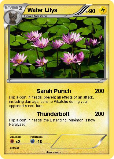 Pokemon Water Lilys