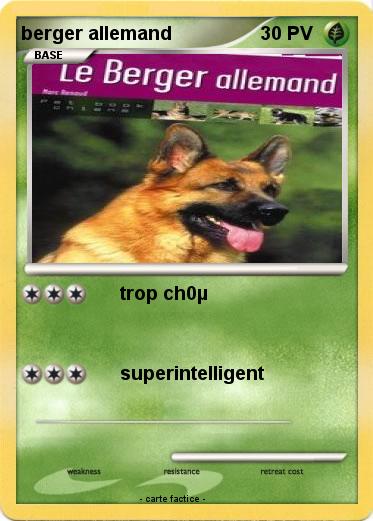Pokemon berger allemand