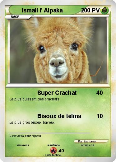Pokemon Ismail l' Alpaka