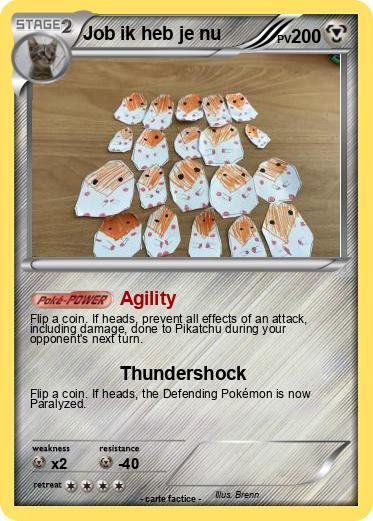Pokemon Job ik heb je nu