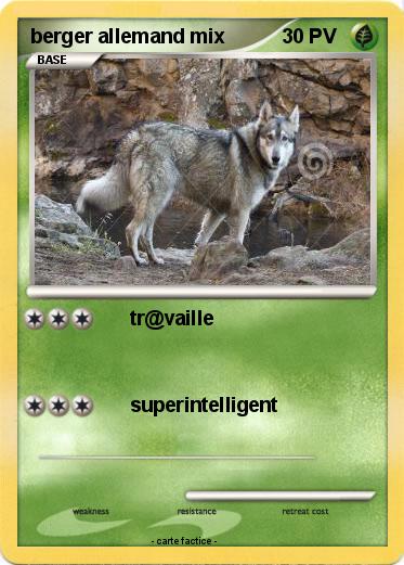 Pokemon berger allemand mix