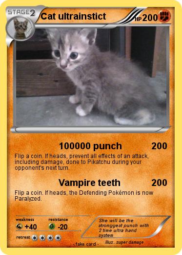 Pokemon Cat ultrainstict
