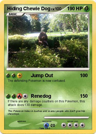 Pokemon Hiding Chewie Dog