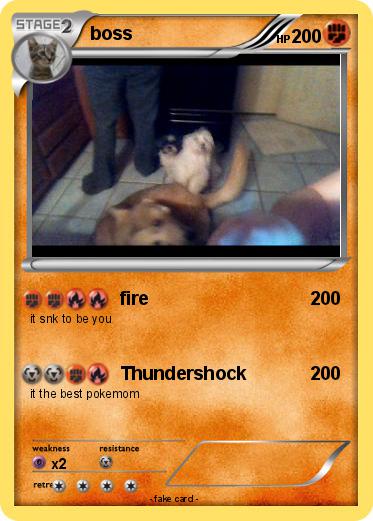 Pokemon boss
