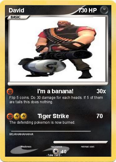 Pokemon David                                  7