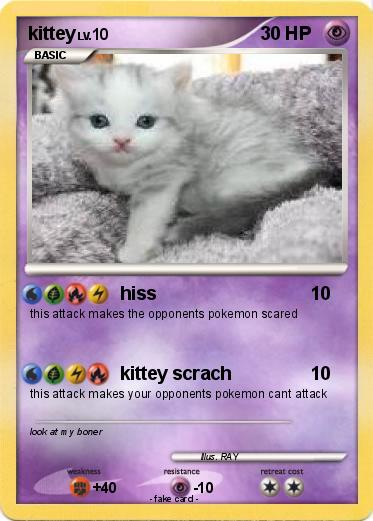 Pokemon kittey