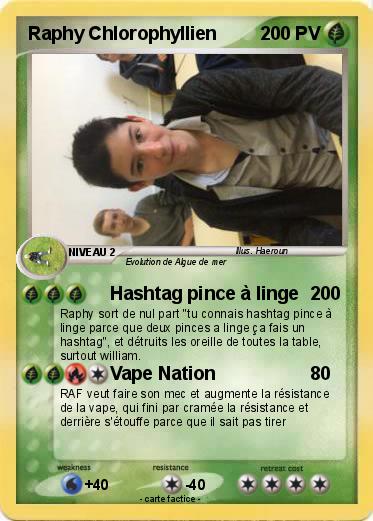 Pokemon Raphy Chlorophyllien