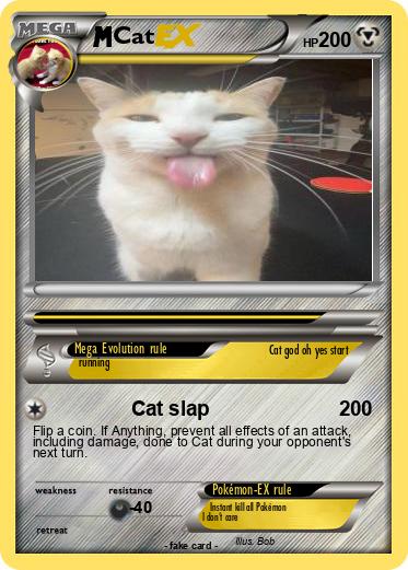 Pokemon Cat