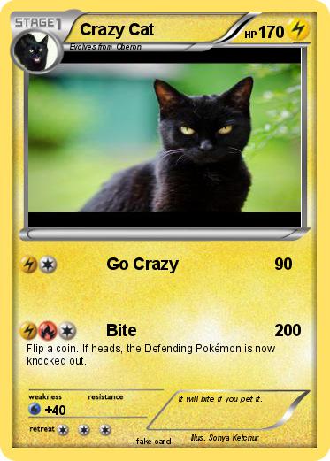 Pokemon Crazy Cat
