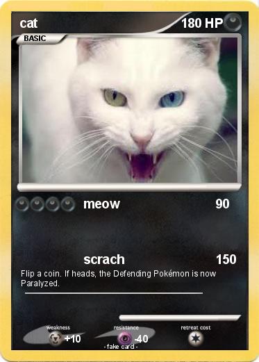 Pokemon cat