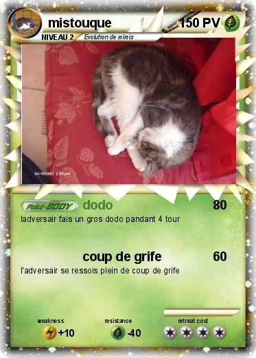 Pokemon mistouque