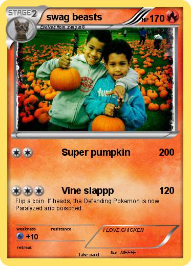 Pokemon swag beasts