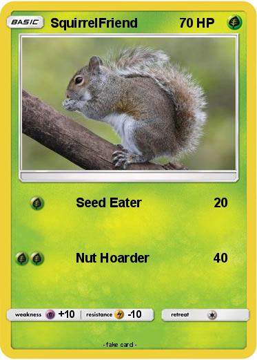 Pokemon SquirrelFriend