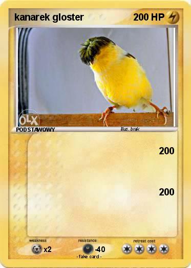 Pokemon kanarek gloster