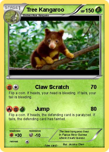 Pokemon Tree Kangaroo