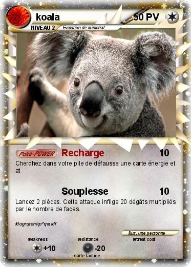 Pokemon koala