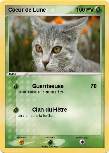 Pokemon Coeur de Lune