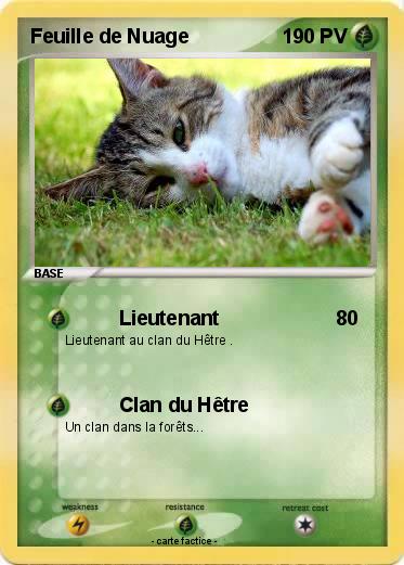 Pokemon Feuille de Nuage