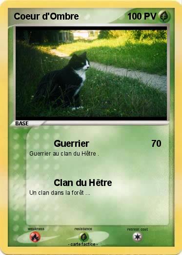 Pokemon Coeur d'Ombre