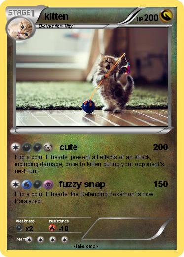 Pokemon kitten