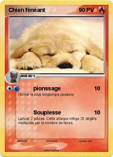 Pokemon Chien fénéant
