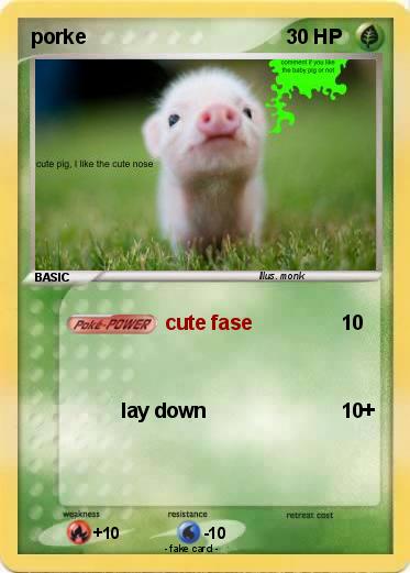Pokemon porke