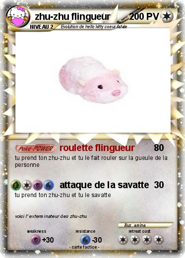 Pokemon zhu-zhu flingueur