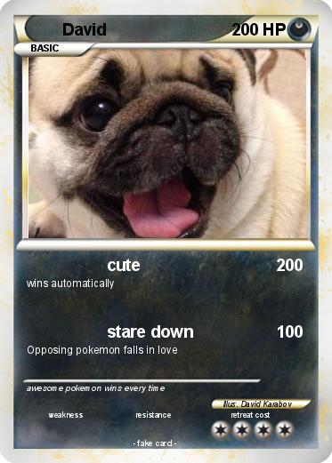Pokemon David