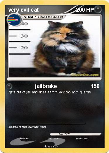 Pokemon very evil cat
