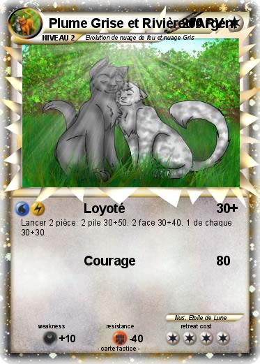 Pokemon Plume Grise et Rivièred'Argent