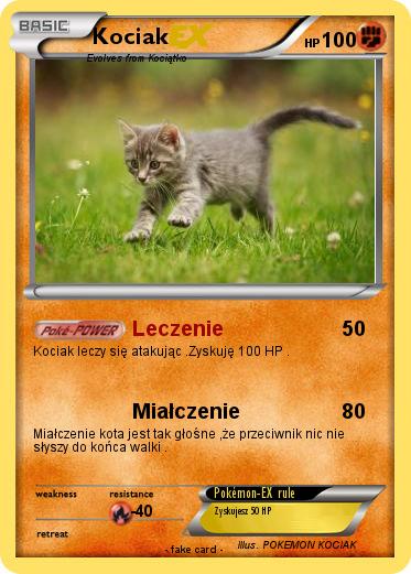Pokemon Kociak