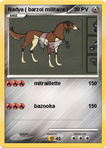 Pokemon Nadya ( barzoi militaire )