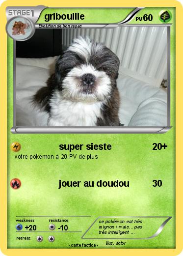 Pokemon gribouille