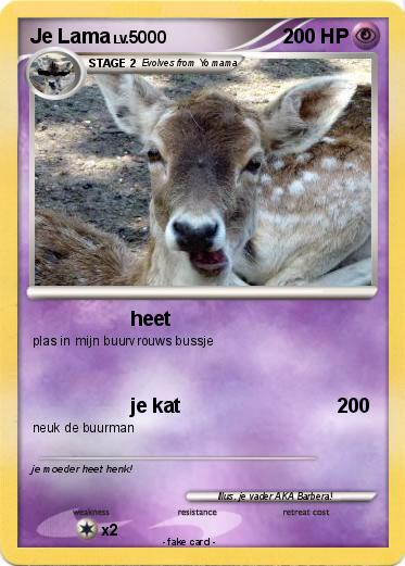 Pokemon Je Lama