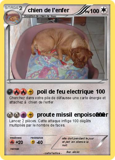 Pokemon chien de l'enfer