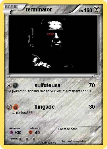 Pokemon terminator