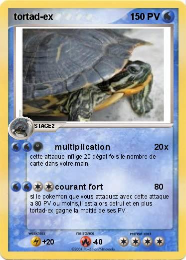 Pokemon tortad-ex