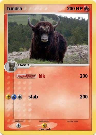 Pokemon tundra
