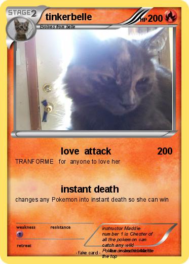 Pokemon tinkerbelle