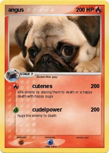 Pokemon angus