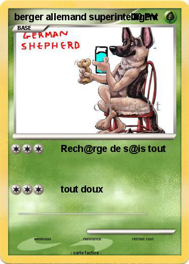 Pokemon berger allemand superintelligent