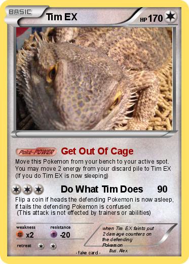 Pokemon Tim EX