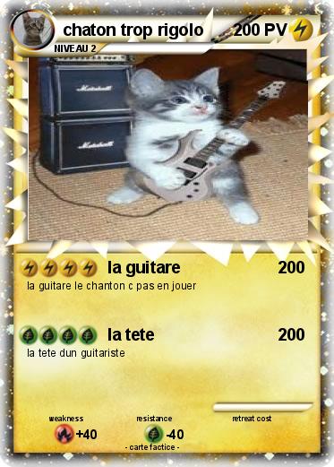 Pokemon chaton trop rigolo