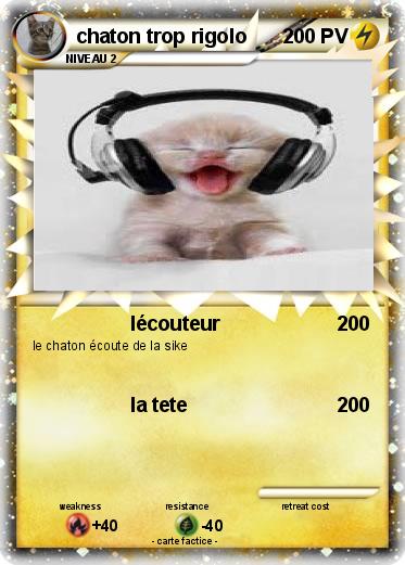 Pokemon chaton trop rigolo