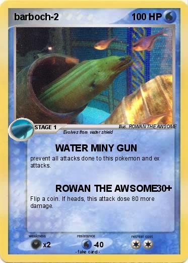 Pokemon barboch-2